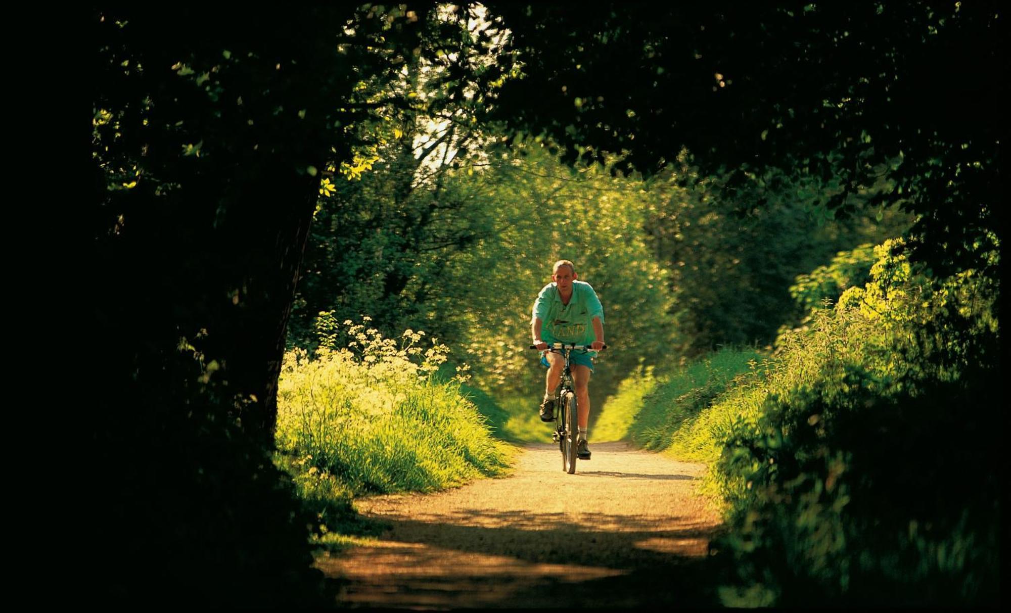 Dromroe Village University Of Limerick Luaran gambar
